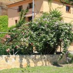 BENISSANET. SPACIOUS HOME WITH RIVERSIDE FINCA - 280 000€ Ref: 082B/23