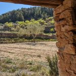 EL PINELL D'BRAI. 2.1 HECTARE MOUNTAIN ALMOND & OLIVE FINCA - 22 000€  Ref: 141/24
