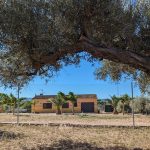 MORA LA NOVA. HABITABLE FINCA CLOSE TO TOWN. SUITABLE FOR HORSES - 195 000€  Ref: 148A/24